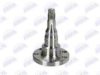 BTA H5W004BTA Wheel Hub